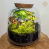 terarium4 1x1