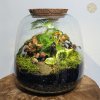 terarium 1x1