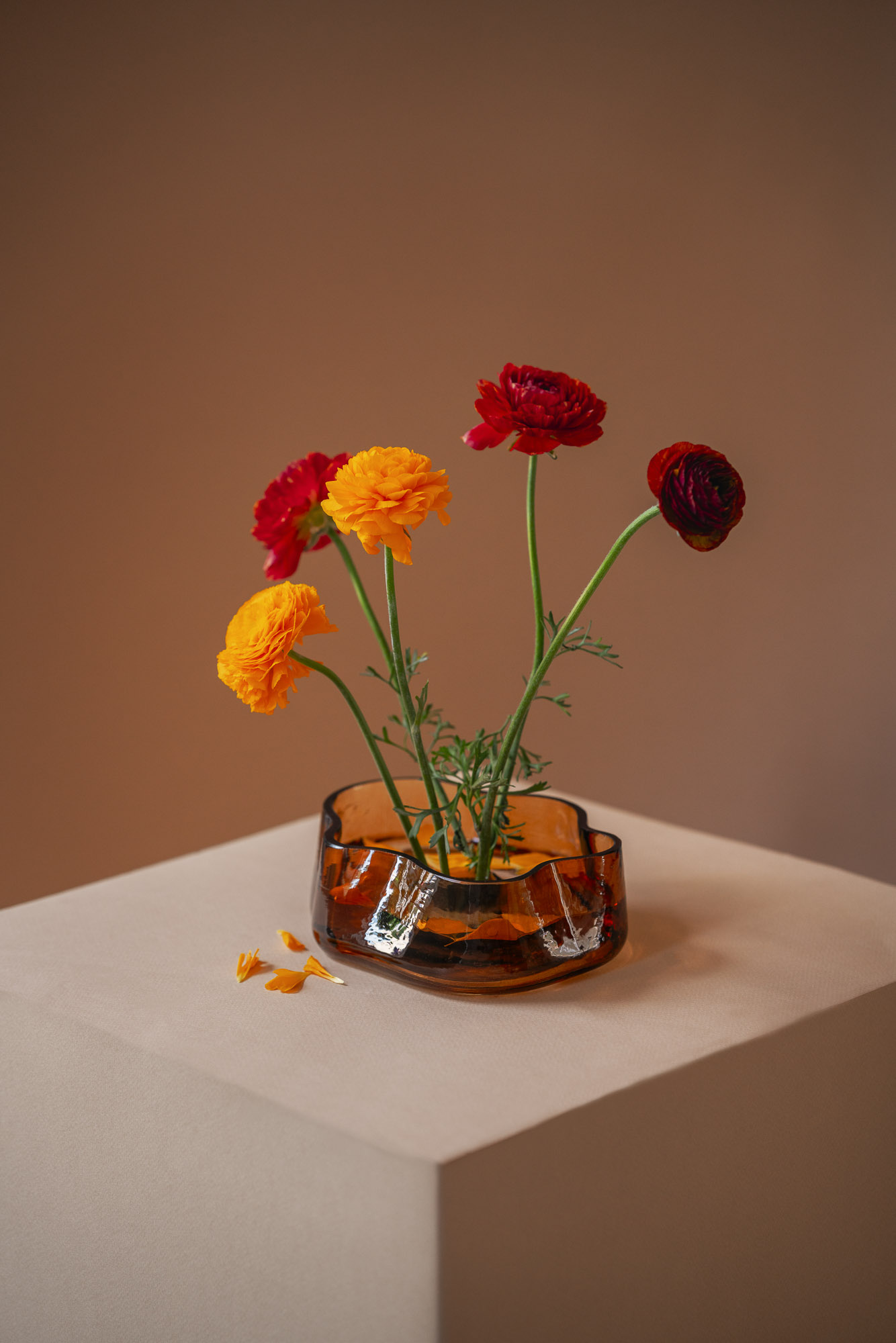 kvety-kukucka-vazy-17