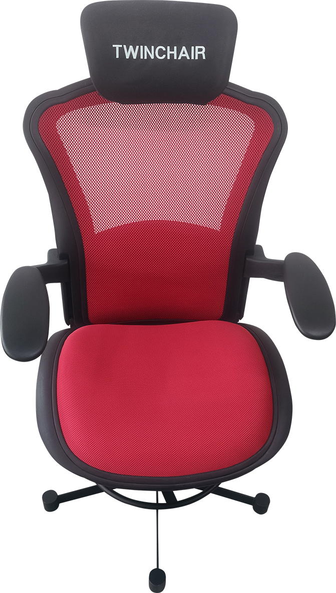 Zdravotní židle TwinChair