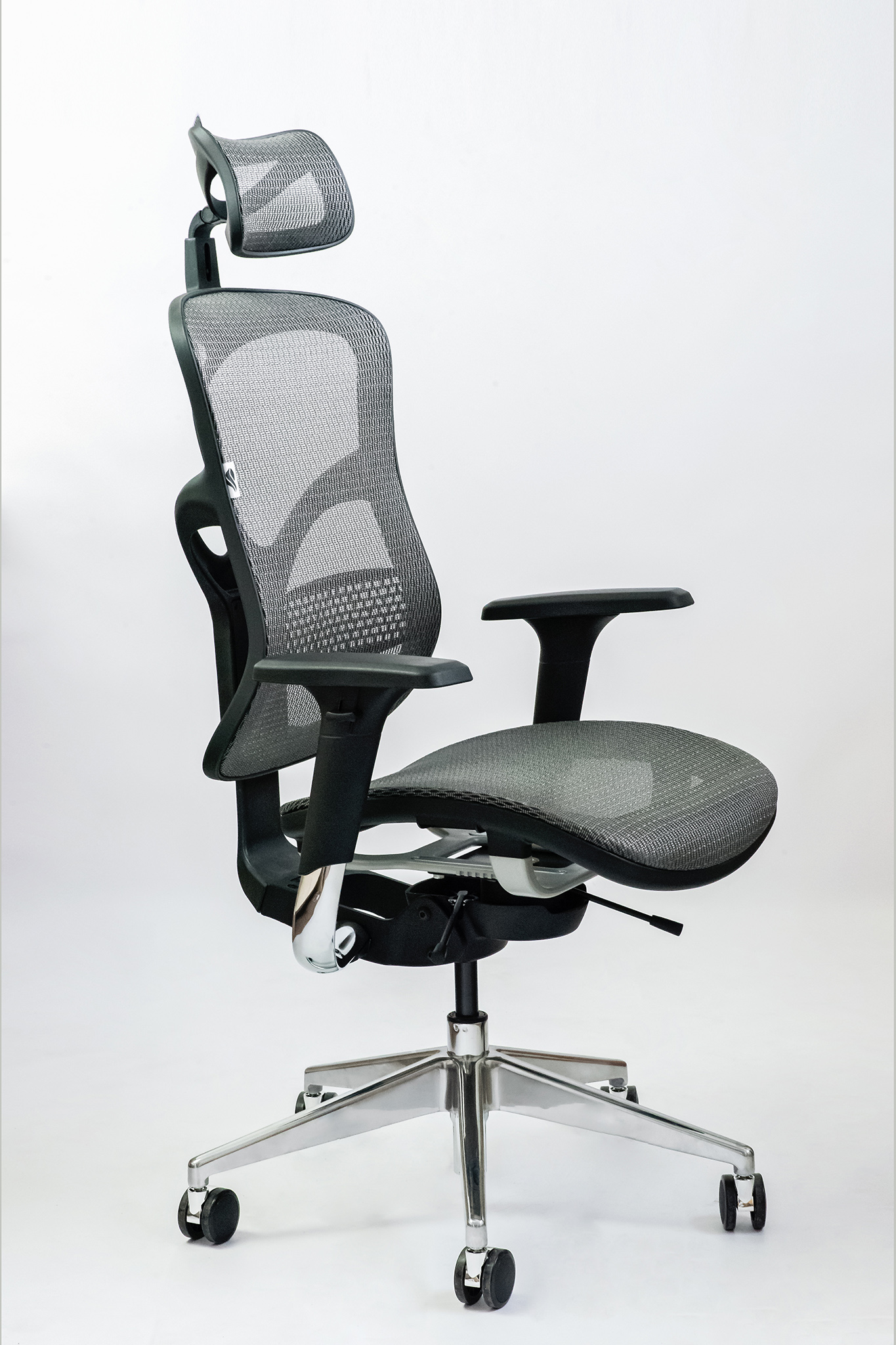 Fotografie Zdravotní židle Business