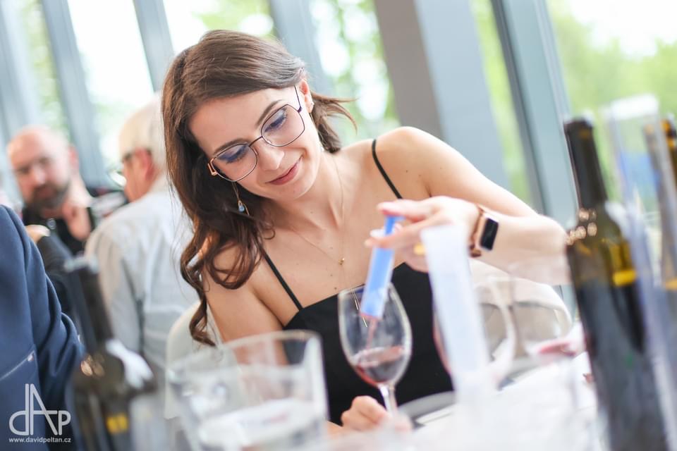 MISTROVSTVÍ ČR V BLENDOVÁNÍ VÍN