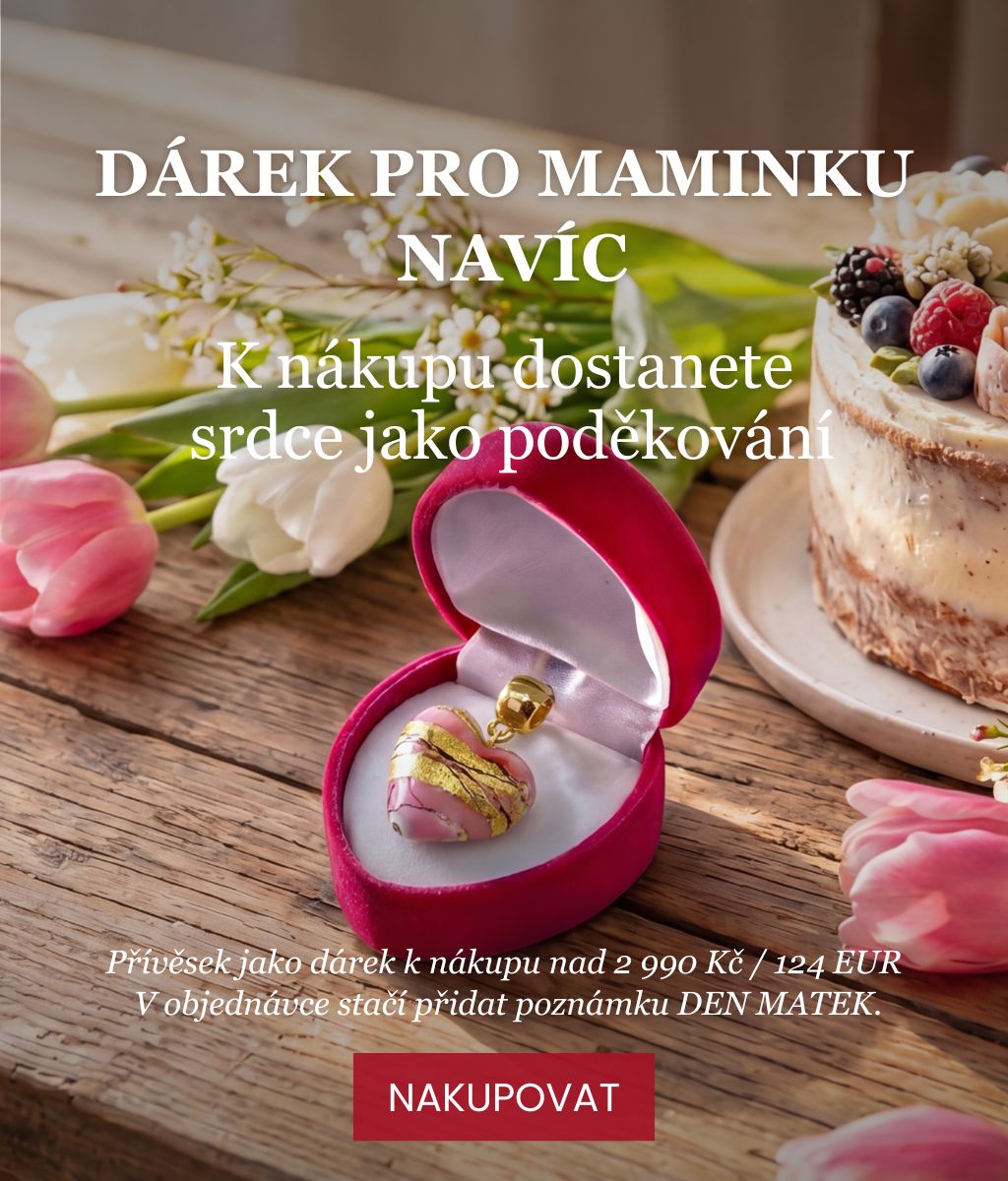 Den matek 2026_ mobi