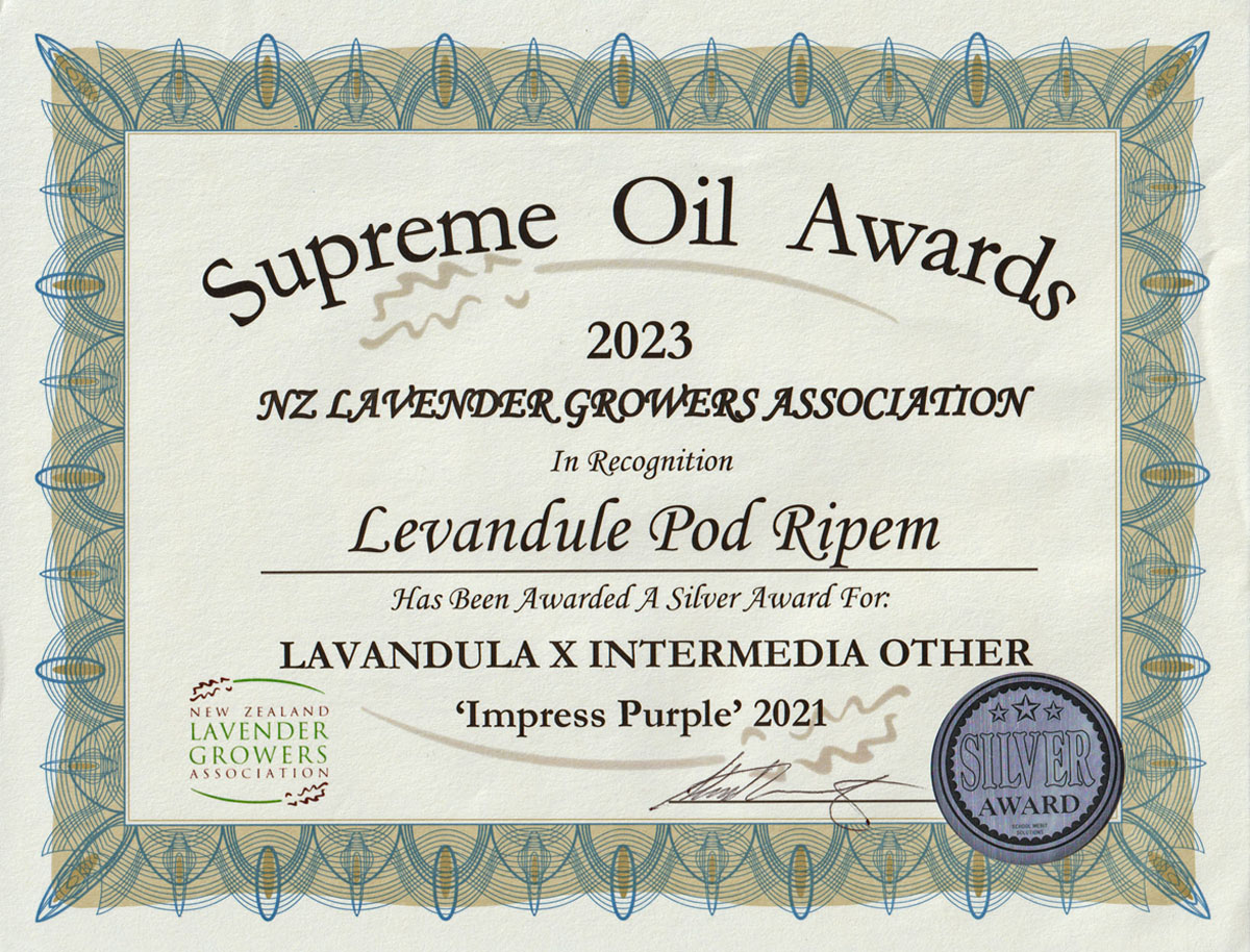 impress2021