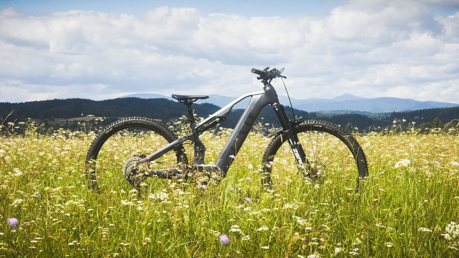NEGULO-levit-emtb-1