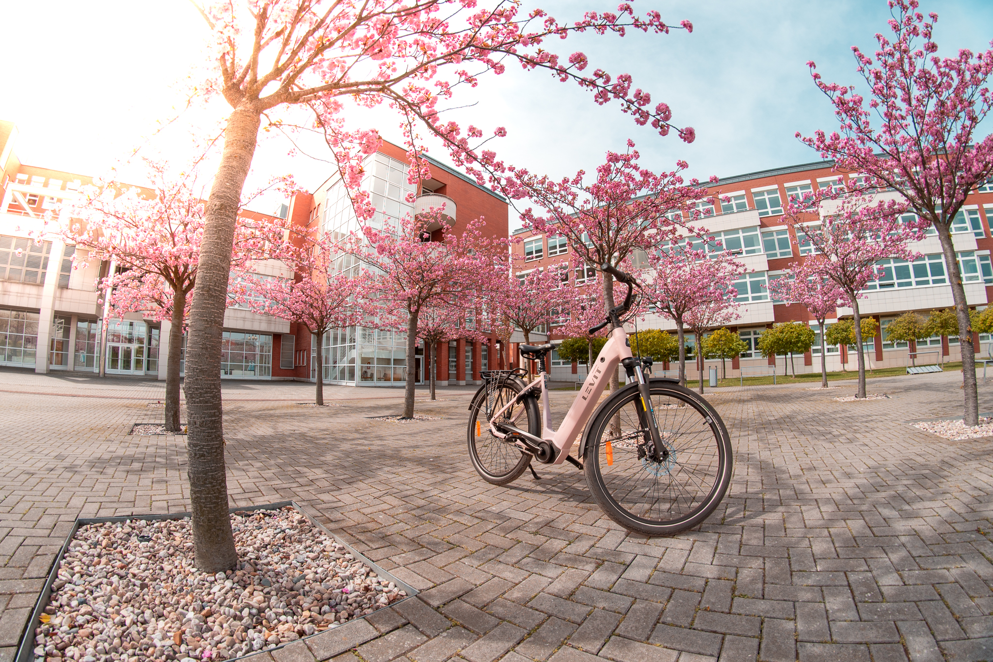 beste-koop-levit-beleco-3