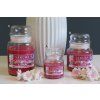 Vonná svíčka "Aroma dreams" sakura/61 (Varianta A - basic 120ml - 0436)