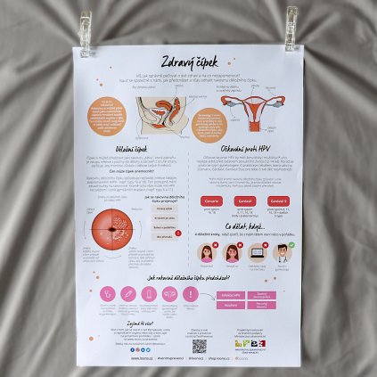 Plakat Zdravycipek