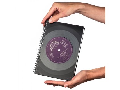 Zápisník z vinylových desek - Gramofonová deska