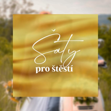 mensi11