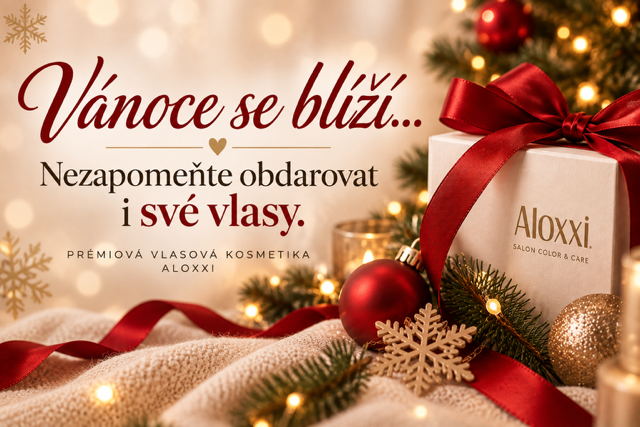 Vánoční péče o vlasy s Aloxxi