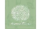 Nobilis Tilia