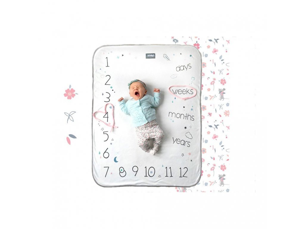 snap the moment foto blanket english version rosy white