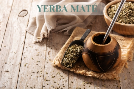 Yerba maté
