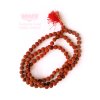 Rudraksha w