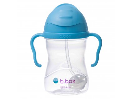 501 blueberry sippy cup 01