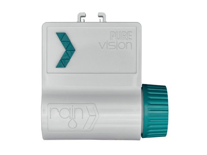 Pure Vision