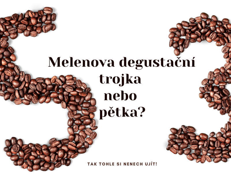 Melenova degustace kávy