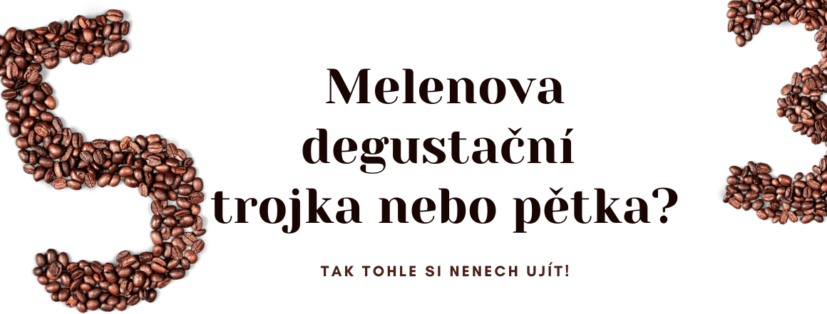 Melenova degustace kávy