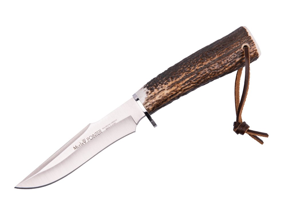 Muela Pointer 13A Stag 1