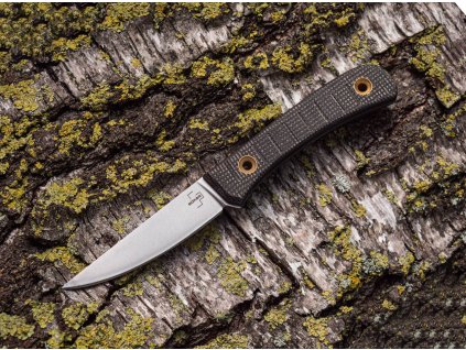 26083 3 boeker plus bark beetle 02bo039 2 4