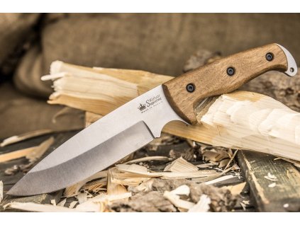 Messer Kizlyar Supreme Shark AUS-8 SW Walnut