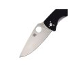 Spyderco Tenacious C122GP