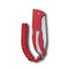 Victorinox Hunter Pro Alox