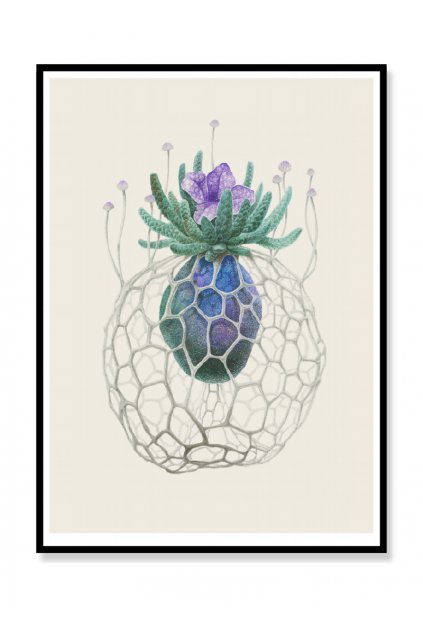 eshop 13