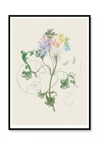 eshop 15