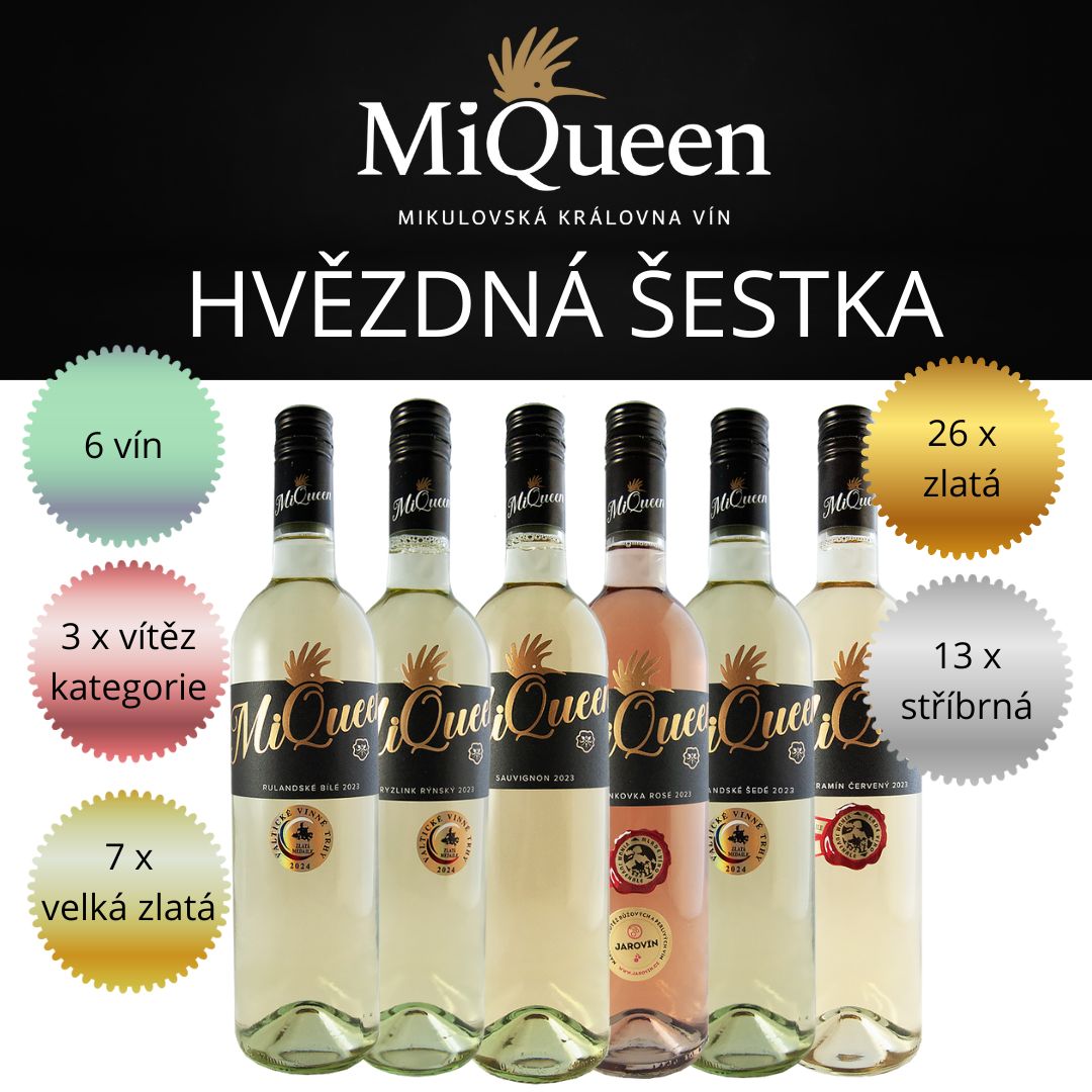 Hvězdná medailová šestka