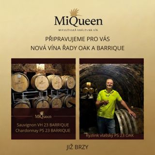 🍷 MiQueen: Nová generace vína právě zraje. V srdci našich sklepů pomalu dozrávají tři výjimečná vína ročníku 2023 – a my...