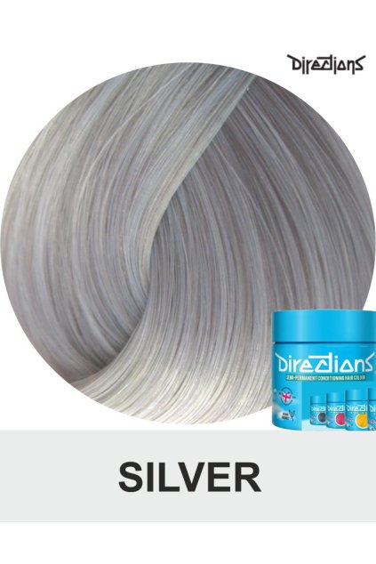 silver directions 100