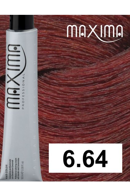 6 64 max