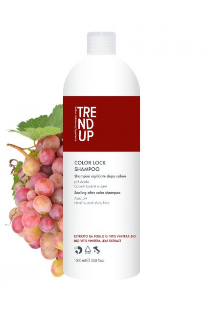 Trend up COLOR LOCK Šampon pro barvené vlasy, antioxidační s kyselým pH
