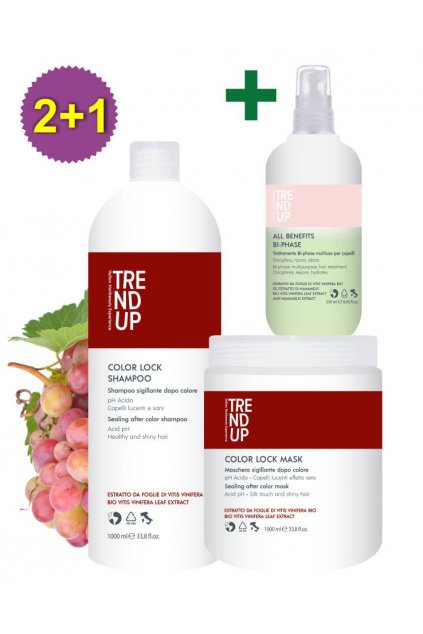 Akce 2+1 Trend up PRO BARVENÉ VLASY Color Lock šampon 1L, maska 1L +ZDARMA Bi-Phase 250ml