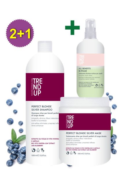 Akce 2+1 Trend up SILVER PRO BLOND VLASY šampon 1L, maska 1L +ZDARMA Bi-Phase 250ml
