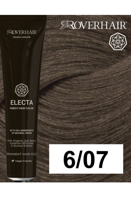 6 07 electa