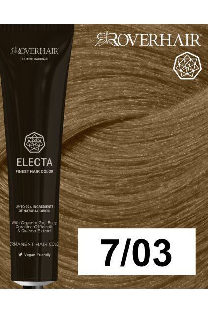 7 03 electa