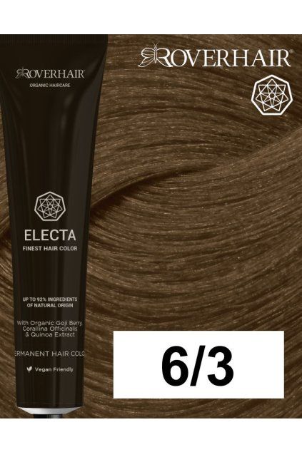 6 3 electa