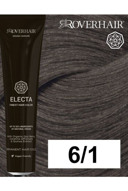 6 1 electa