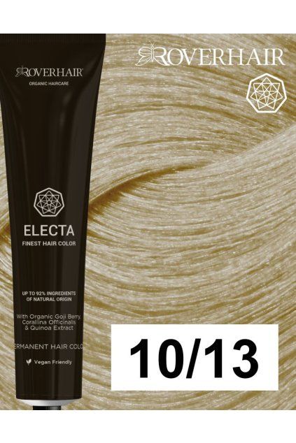 10 13 electa