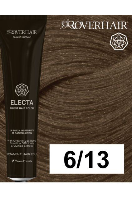 6 13 electa