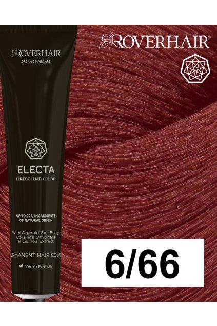6 66 electa