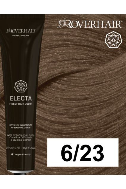 6 23 electa