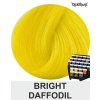 Bright daffodil directions 100