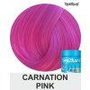 carnation pink directions 100