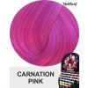 Carnation PinK