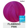 flamingo pink directions 100