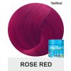 rose red directions 100